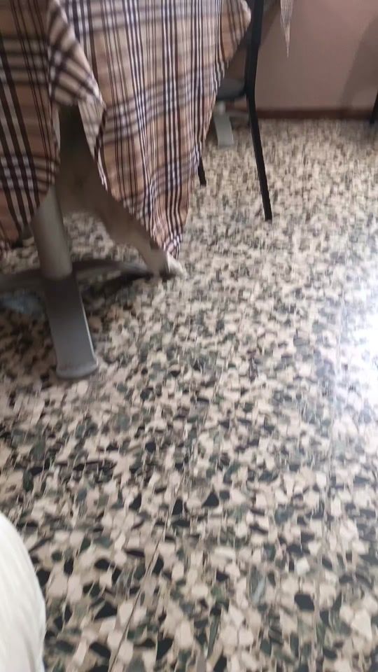 TikTok video thumbnail by umbertoalvaro756