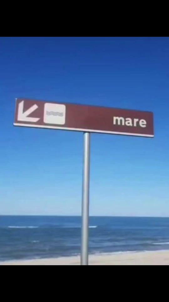 TikTok video thumbnail by williamsabate1
