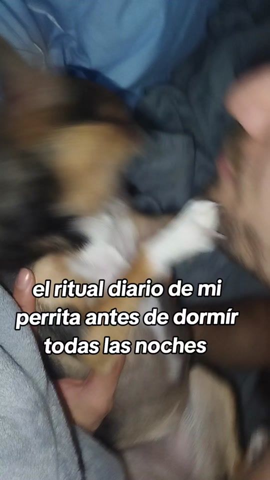 TikTok video thumbnail by mia_princess25