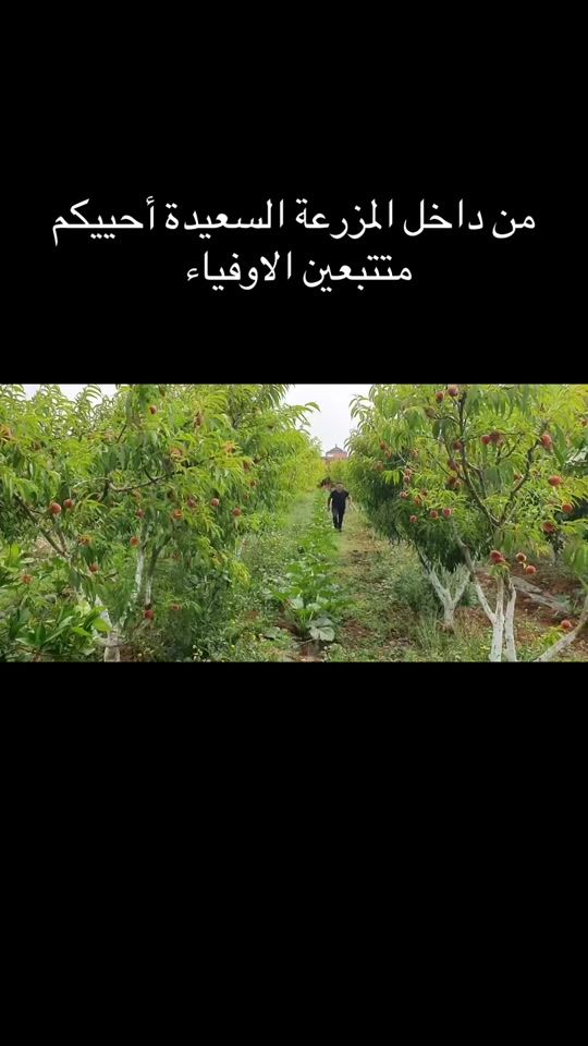 TikTok video thumbnail by radouanboutjangout