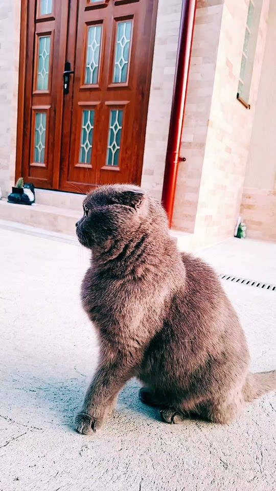 TikTok video thumbnail by user181218110981