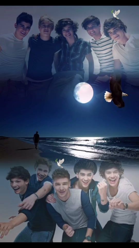 TikTok video thumbnail by one.direction.forever1