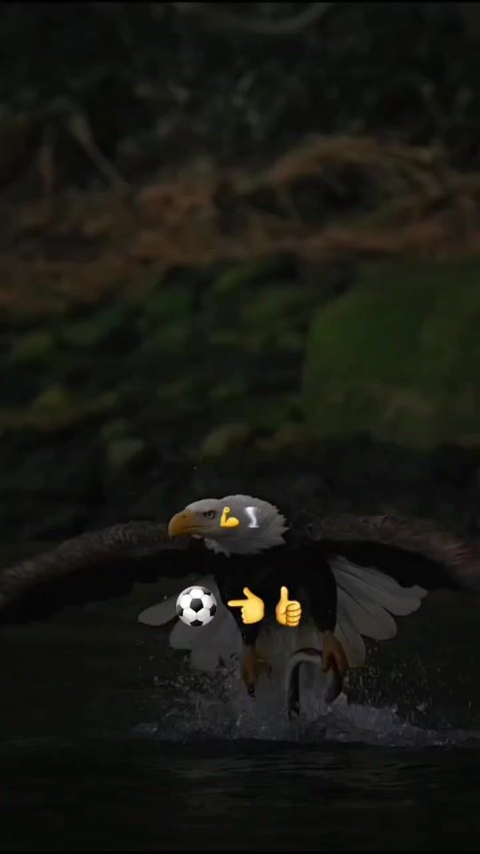 TikTok video thumbnail by bsingh063