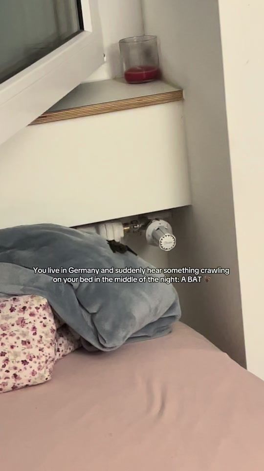 TikTok video thumbnail by melodieeez1