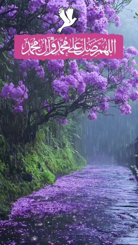 TikTok video thumbnail by rahat_anafs