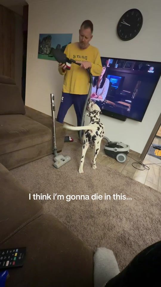 TikTok video thumbnail by lini.szaboo
