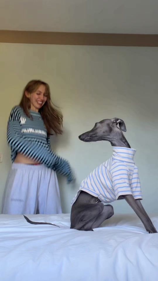 TikTok video thumbnail by mr.spicygremlin
