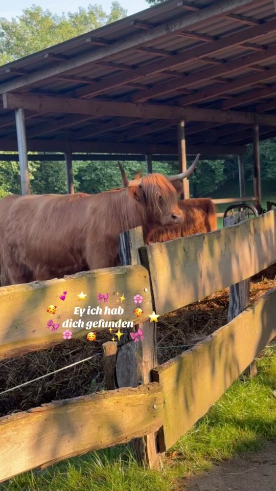 TikTok video thumbnail by charlize350