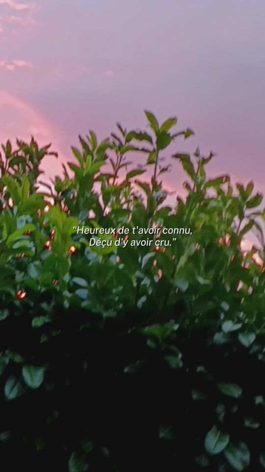 TikTok video thumbnail by dumbo.timeo