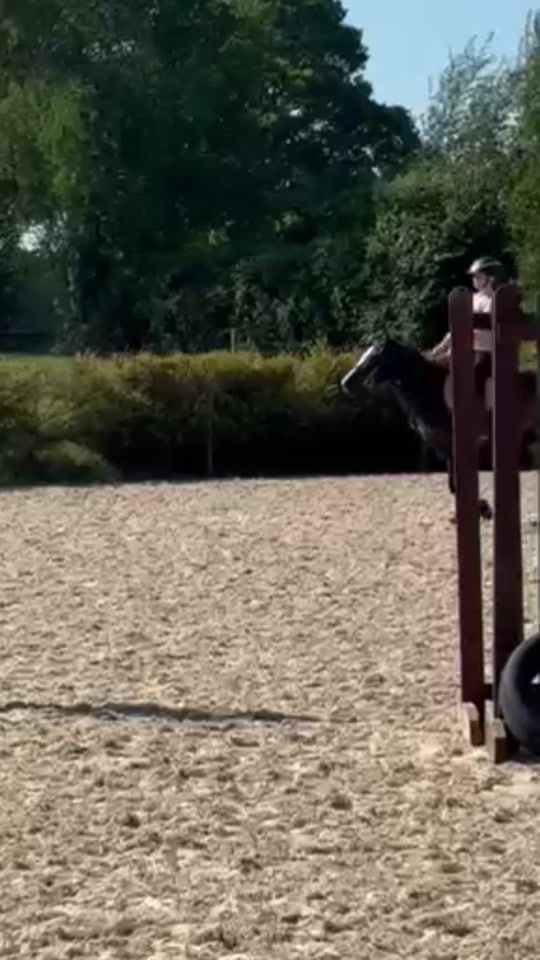 TikTok video thumbnail by darcysjumping