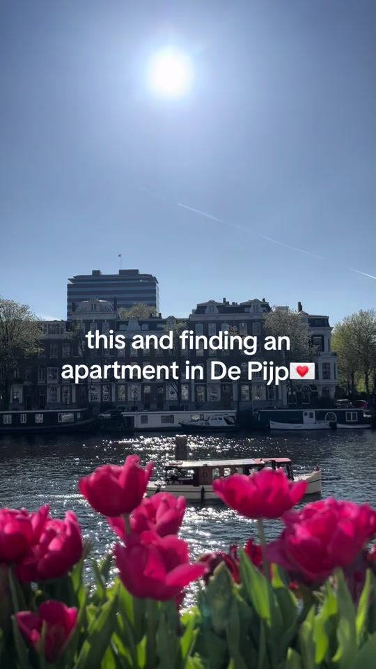 TikTok video thumbnail by abels.shorty