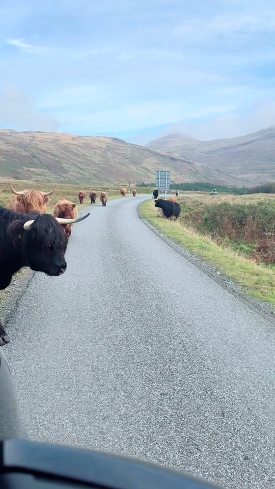 TikTok video thumbnail by uncoverscotland