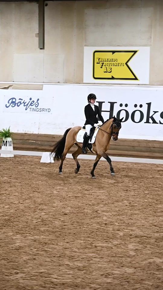 TikTok video thumbnail by embla_dressage