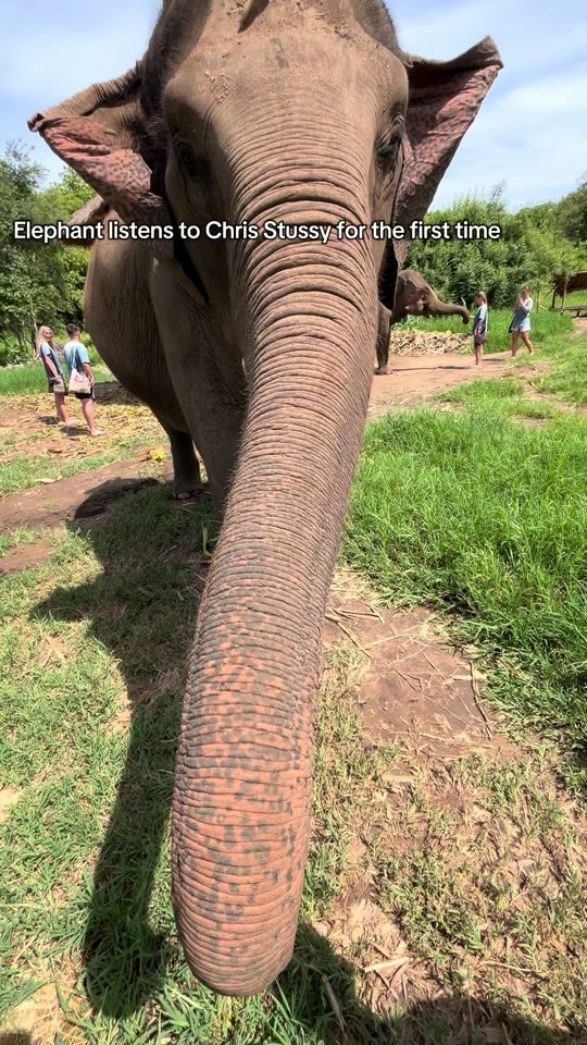 TikTok video thumbnail by elliotmath123