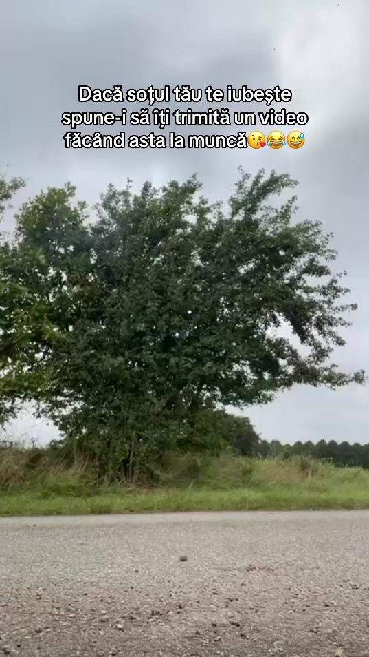 TikTok video thumbnail by alexaraluca638