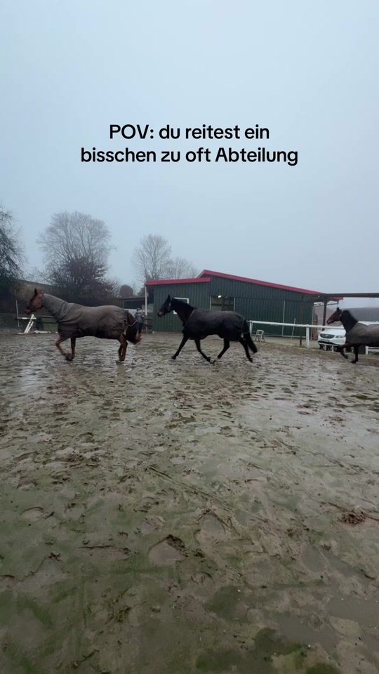 TikTok video thumbnail by vicellii