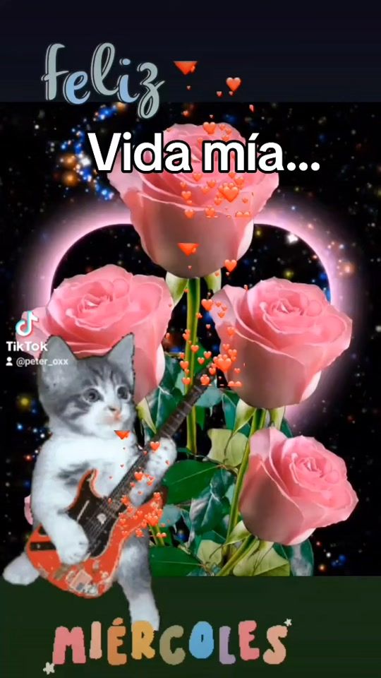 TikTok video thumbnail by peter_oxxoficial