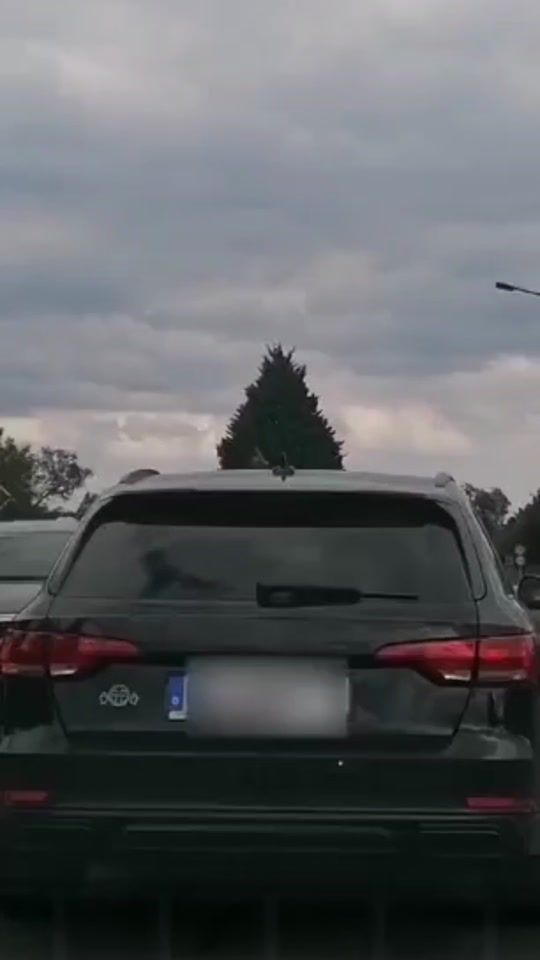 TikTok video thumbnail by miniterrorzicke