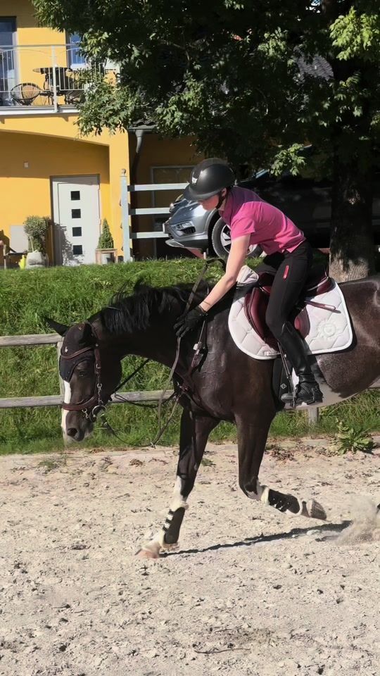 TikTok video thumbnail by showjumping_jw