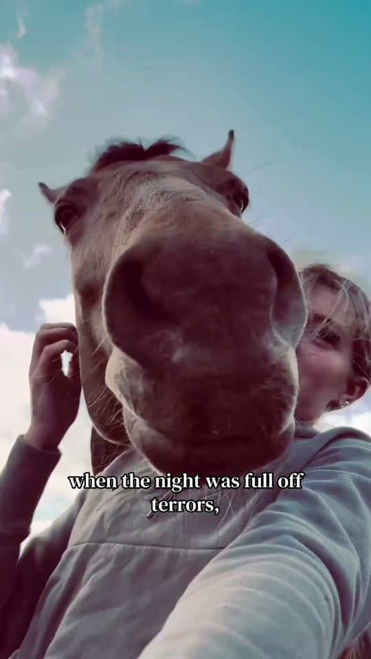 TikTok video thumbnail by jess.equine06