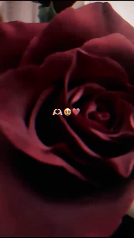 TikTok video thumbnail by irinutza1996