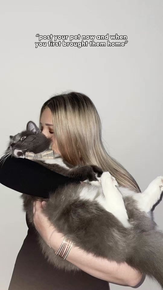 TikTok video thumbnail by amanddaferrari