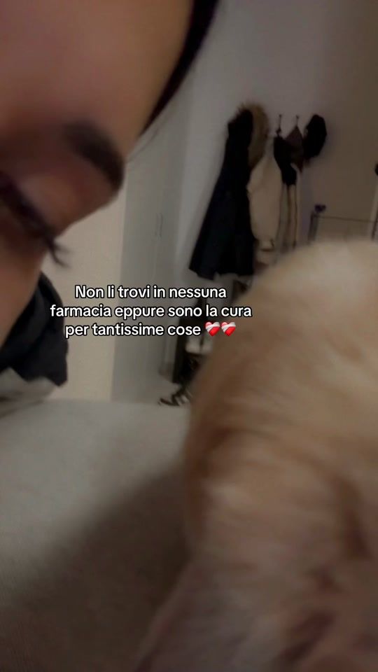 TikTok video thumbnail by giadasforzaaaa