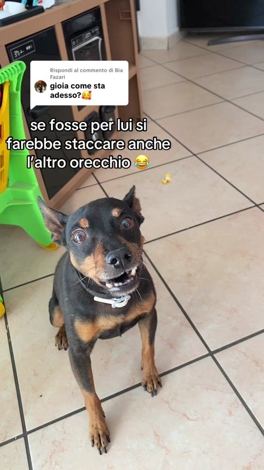 TikTok video thumbnail by simone.roma5