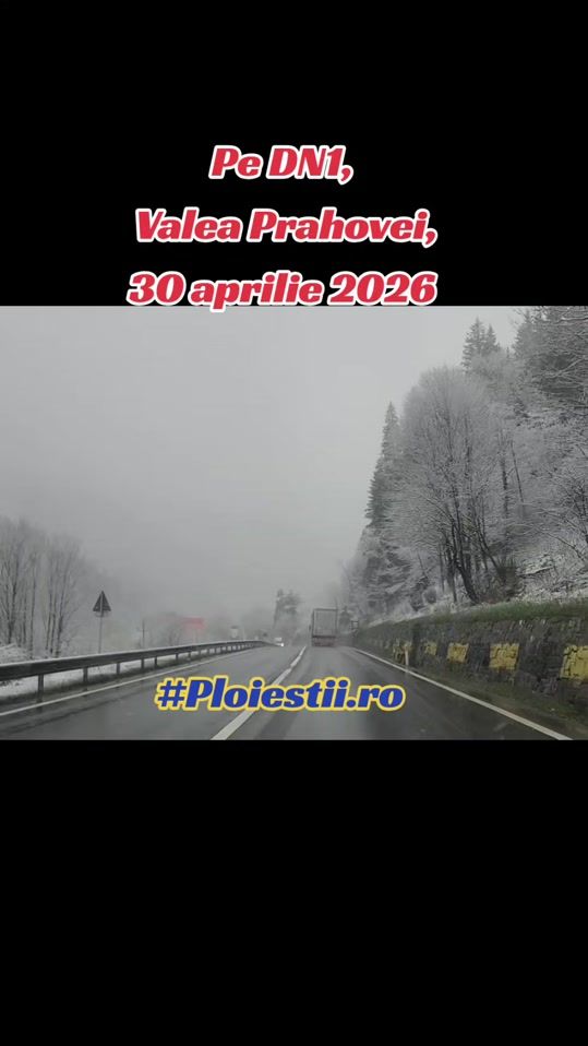 TikTok video thumbnail by ploiestii.ro