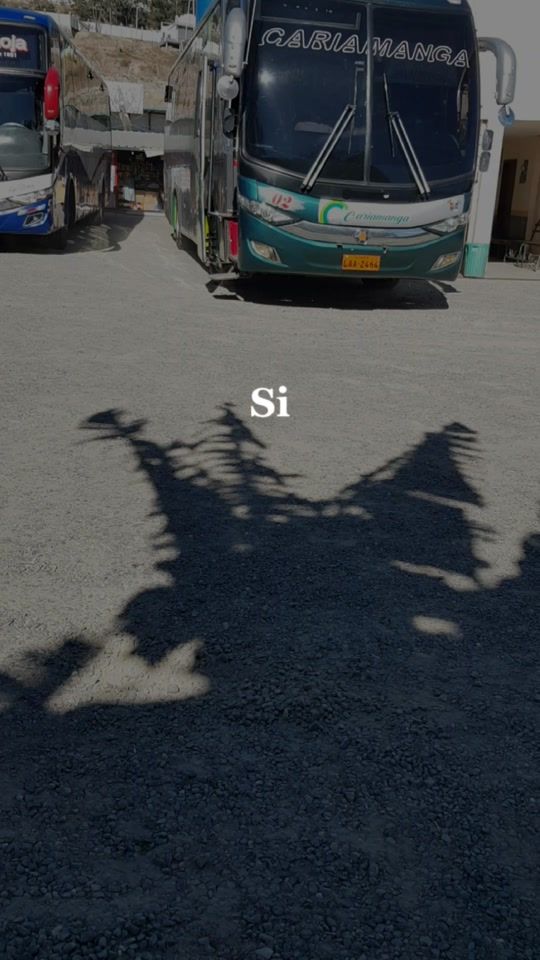 TikTok video thumbnail by bussur07