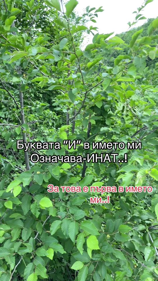 TikTok video thumbnail by isus_stefanov06