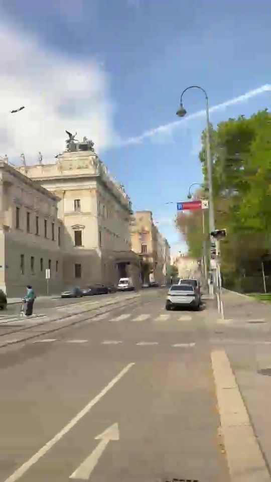 TikTok video thumbnail by wien205516