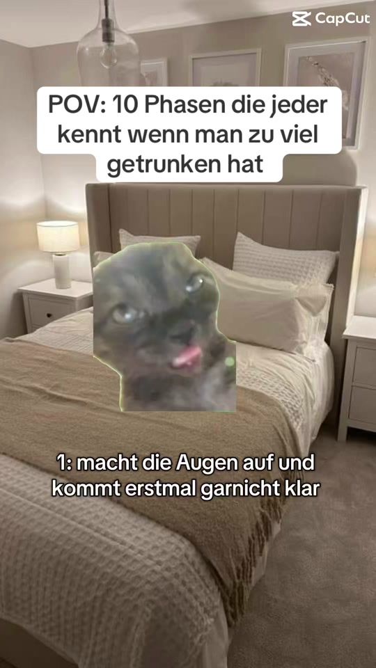 TikTok video thumbnail by katzen_mem3s