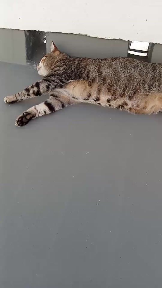 TikTok video thumbnail by mathis5th
