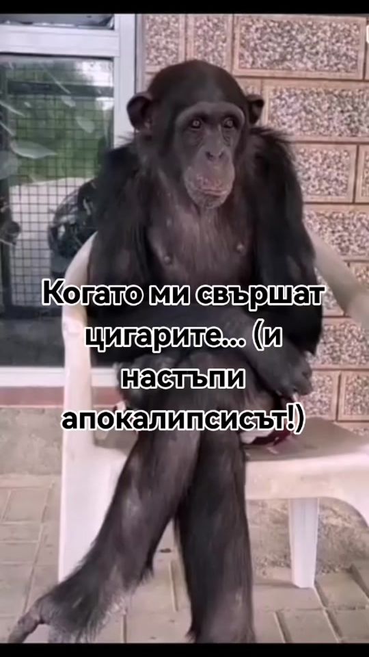 TikTok video thumbnail by koyna.sivcheva