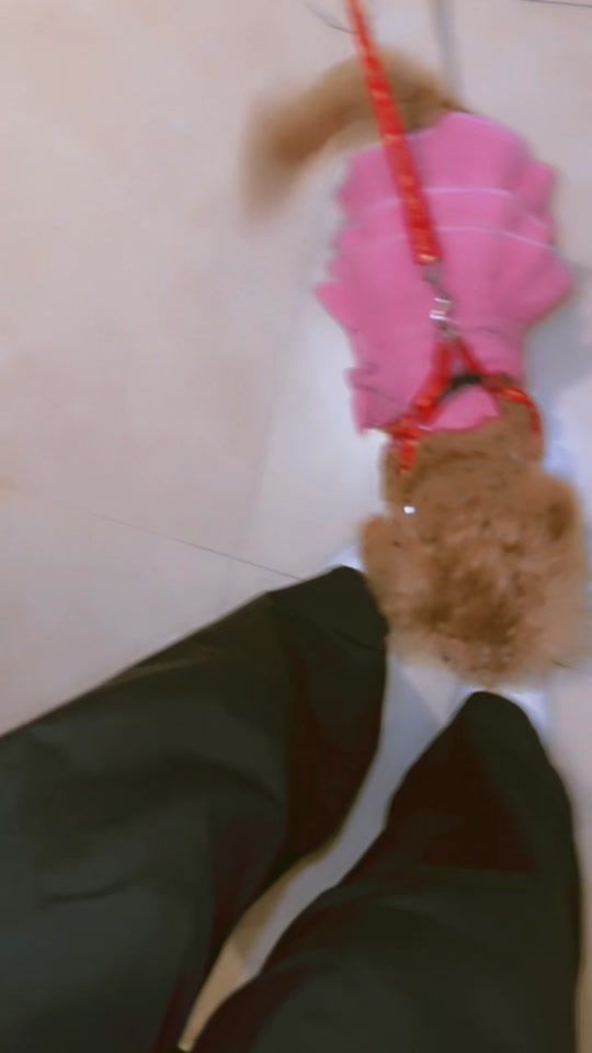 TikTok video thumbnail by laraybbutt11