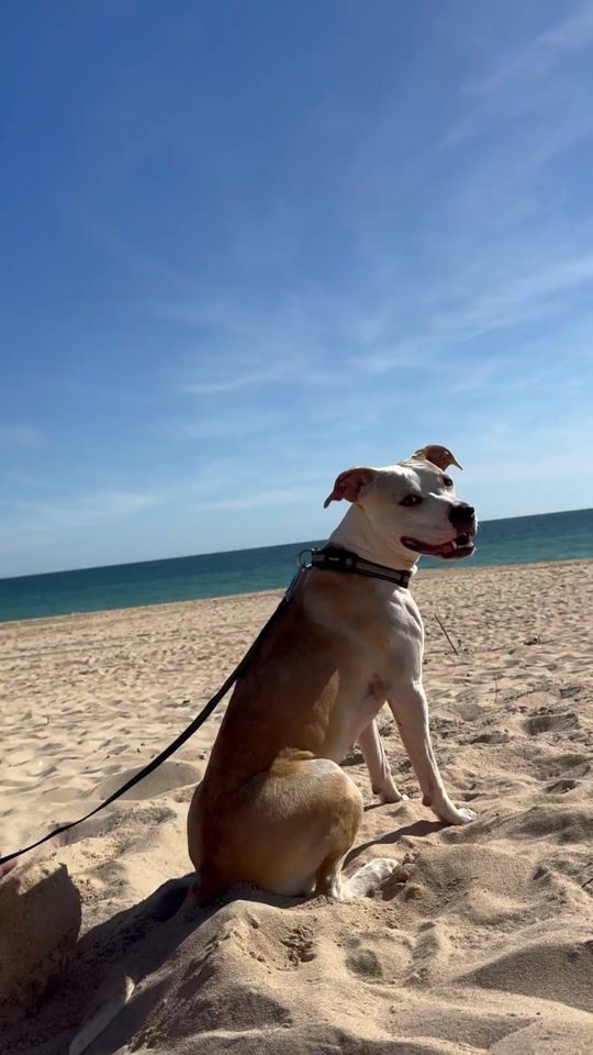 TikTok video thumbnail by 74alana
