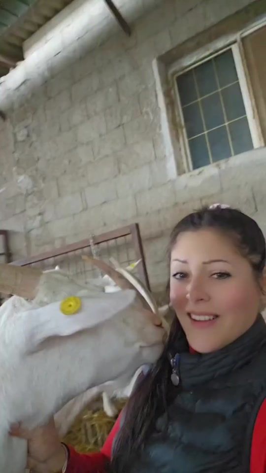 TikTok video thumbnail by ele_tappeggiami_di_babbo