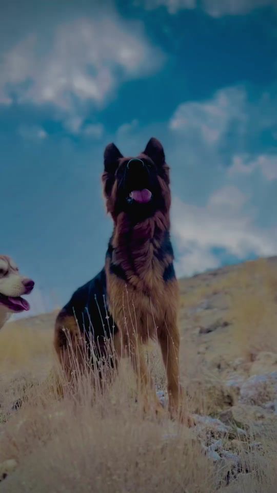 TikTok video thumbnail by mountainer.german