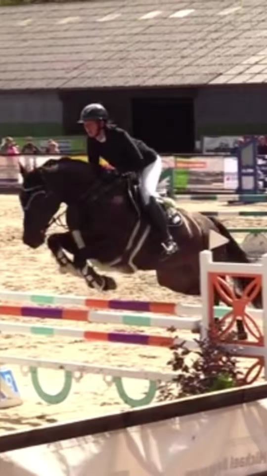 TikTok video thumbnail by ms_showjumping