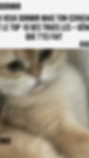 TikTok video thumbnail by nicolasfuchs82