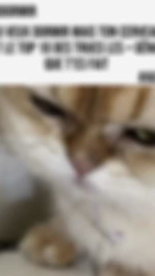 TikTok video thumbnail by nicolasfuchs82