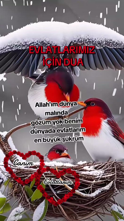 TikTok video thumbnail by kilinc.esmer.02