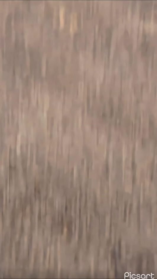 TikTok video thumbnail by m_simba_089