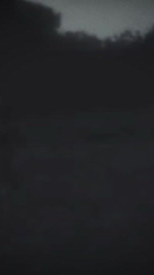 TikTok video thumbnail by avocadoooo1231