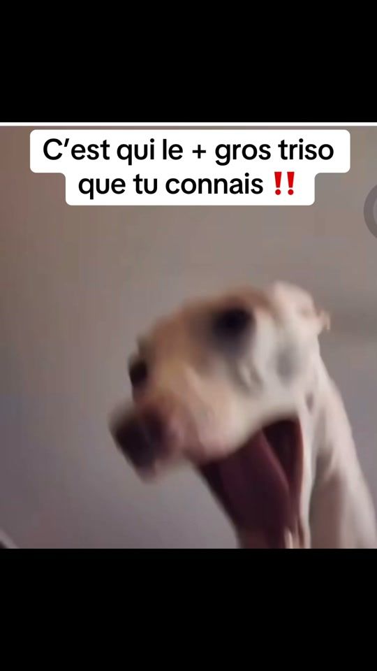 TikTok video thumbnail by official_anto59