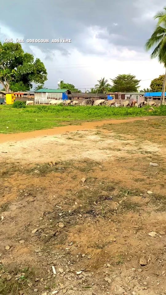 TikTok video thumbnail by omo.oba.odeogoun.adeyemi