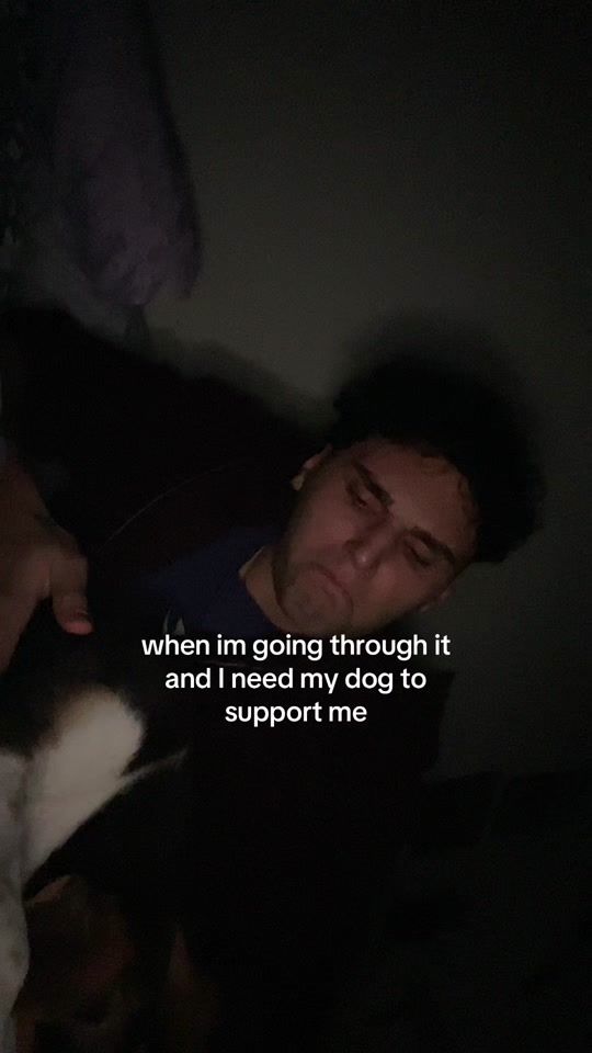 TikTok video thumbnail by nicholasvulpasin