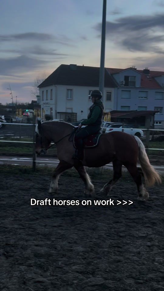 TikTok video thumbnail by hera.dbf