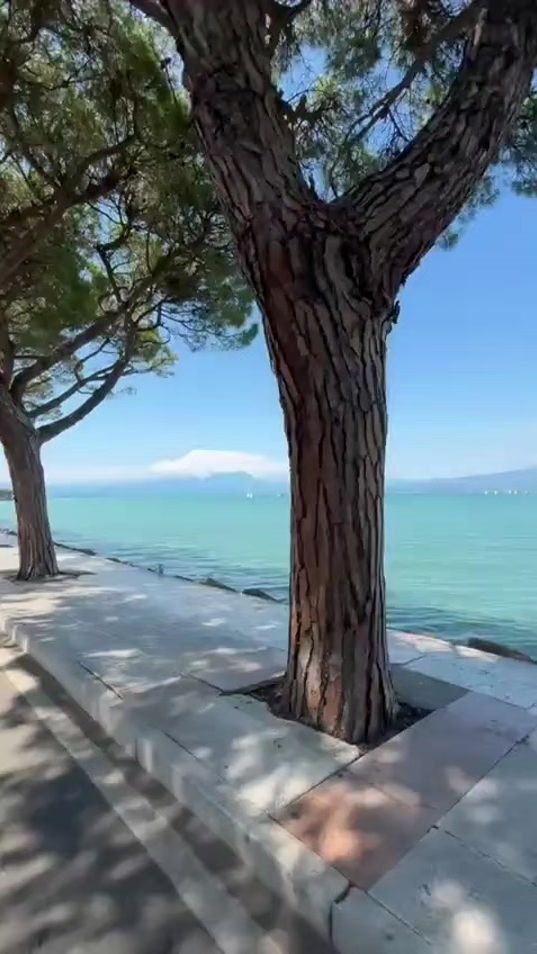 TikTok video thumbnail by mihaelacristina468